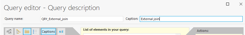 Name and caption of query