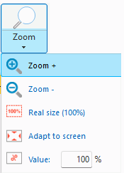 Zoom options