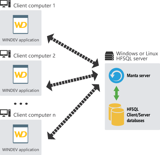 Diagram representing the Client/Server mode