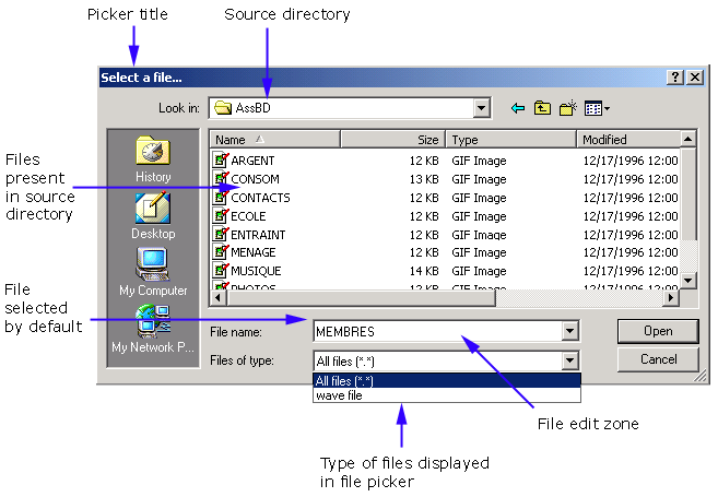 Windows file picker