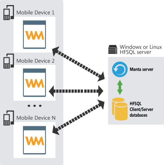 HFSQL Client/Server