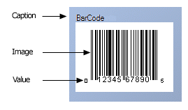 Elements of a bar code