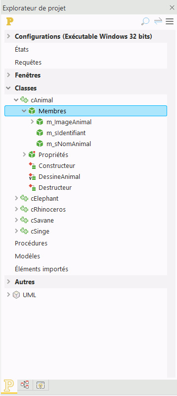 Explorateur de projet, dossier 